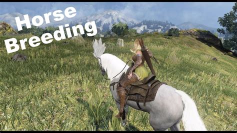 black desert online horse breeding|bdo how to breed horses.